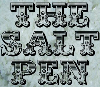 The Salt Pen by Bill Montana